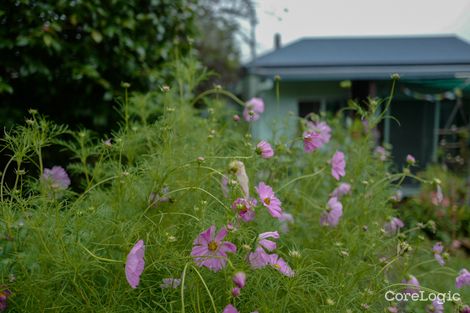 Property photo of 7 Beech Street Dorrigo NSW 2453
