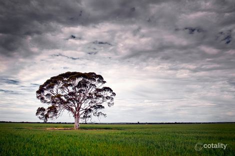 405 Comerford Rd, Wilgoyne, WA 6479