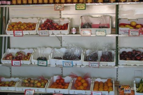 Property photo of 1908 Canowindra Road Canowindra NSW 2804