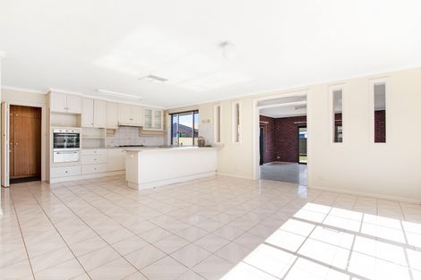 Property photo of 9 Burnie Avenue Campbelltown SA 5074
