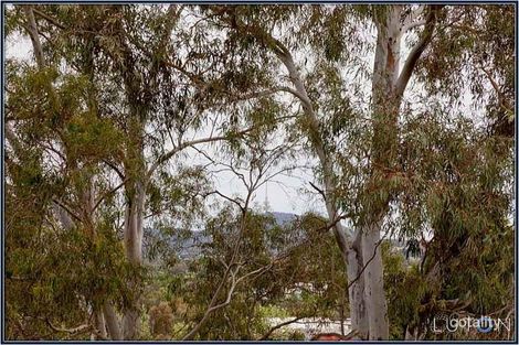 Property photo of 12 Kiewa Street Kaleen ACT 2617