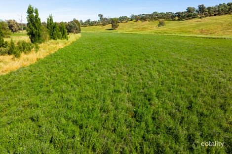 8 Boxwood Park Rd, Bungowannah, NSW 2640