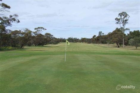 Property photo of 18 Devon Terrace Pinnaroo SA 5304