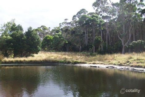 50 Bischoffs Rd, Pegarah, TAS 7256