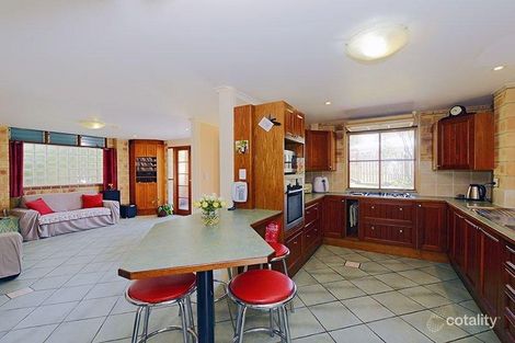 Property photo of 31 Prout Street Camp Hill QLD 4152