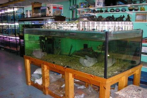 81 Skylark St, Inala, QLD 4077