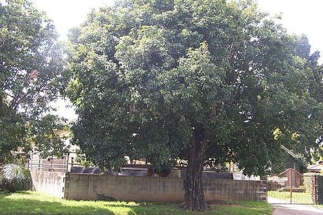 19 Rous St, Hendra, QLD 4011