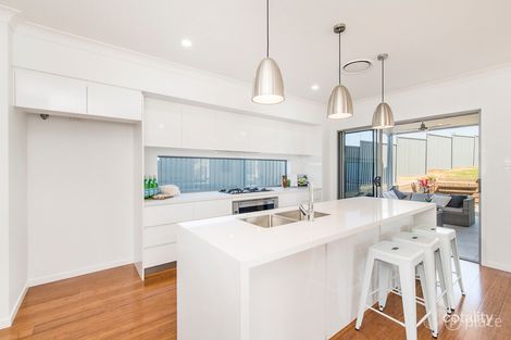 Property photo of 19 Faraday Street Camp Hill QLD 4152