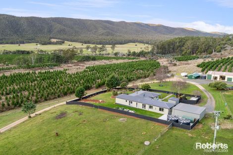 478 Union Bridge Rd, Mole Creek, TAS 7304