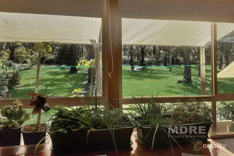 Property photo of 137/2129 Nelson Bay Road Williamtown NSW 2318