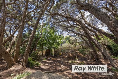 Property photo of 32 Napier Street Rye VIC 3941