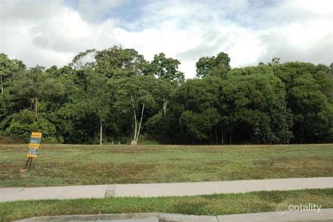 Property photo of 25 Muller Street Palm Cove QLD 4879