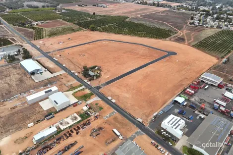 Property photo of 26 Two Up Drive Buronga NSW 2739