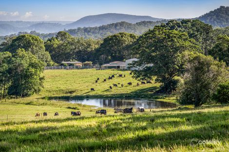 Property photo of 81 Heath Road Stanmore QLD 4514