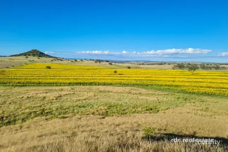 2335 Glenesk Rd, Balfours Peak, NSW 2403