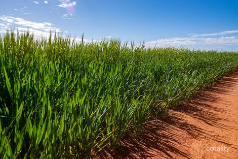 38 Probert Rd, Welbungin, WA 6477