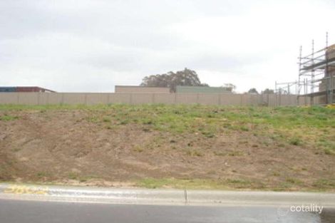 41 Alexandra Cres, Harrington Park, NSW 2567