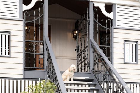 Property photo of 11 Bardsley Avenue Greenslopes QLD 4120