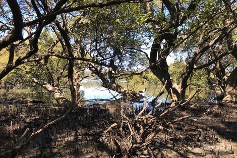 Property photo of 57 Edendale Street East Woollamia NSW 2540