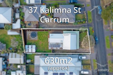 Property photo of 37 Kalimna Street Carrum VIC 3197