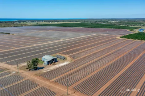 190 Riverview Rd, Calavos, QLD 4670