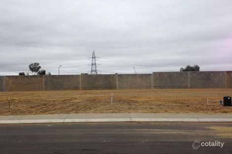 116 Sapphire Ch, Wellard, WA 6170