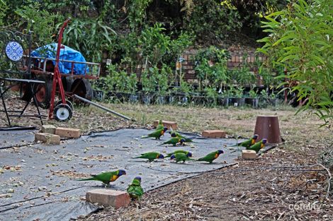 Property photo of 74 Glen Road Warwick QLD 4370