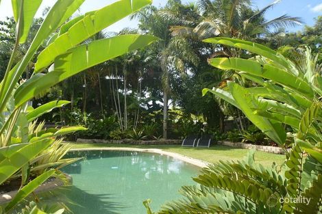 Property photo of 51 Periwinkle Avenue Trinity Beach QLD 4879