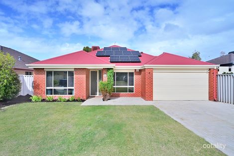 19 Ornata Bend, Banksia Grove, WA 6031