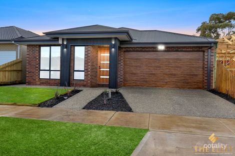 Property photo of 29 Winton Drive Fraser Rise VIC 3336