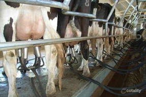 696 Spences Rd, Katunga, VIC 3640