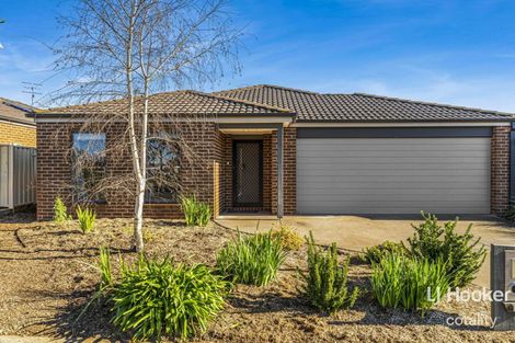 19 Pauline Way, Kilmore, VIC 3764