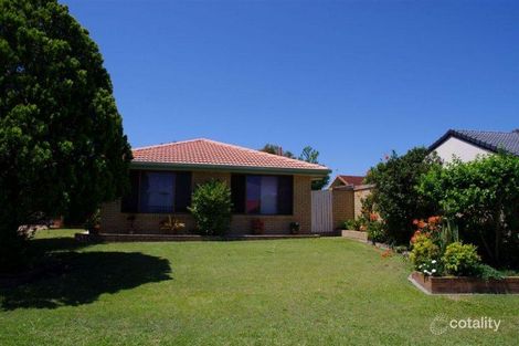 Property photo of 3 Kallaroo Crescent Ashmore QLD 4214