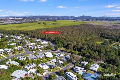 Property photo of 12 Brushtail Court Pottsville NSW 2489
