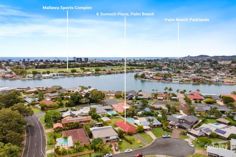 Property photo of 6 Sumach Place Palm Beach QLD 4221