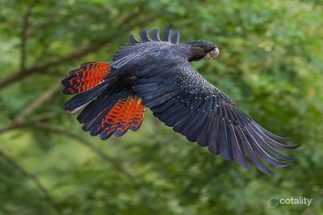 16/168-174 Moore Rd, Kewarra Beach, QLD 4879