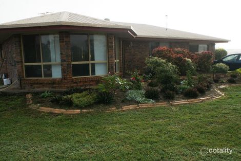 Property photo of 192 Reid Road Alton Downs QLD 4702