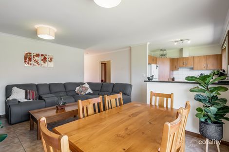 Property photo of 13 Jackson Street Plympton Park SA 5038