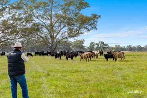 Basin Rd, Tarnook, VIC 3670