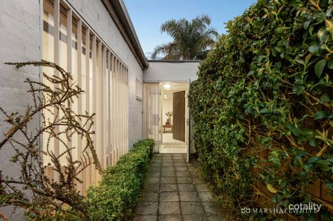 Property photo of 23 Caroline Street Hawthorn East VIC 3123