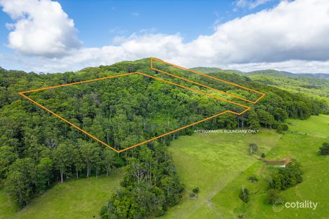 442/443 Fridays Creek Rd, Upper Orara, NSW 2450