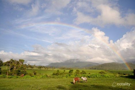 Property photo of 216 Yakapari-Seaforth Road The Leap QLD 4740