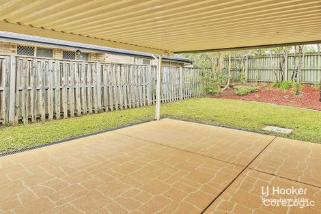 Property photo of 80 Candytuft Place Calamvale QLD 4116