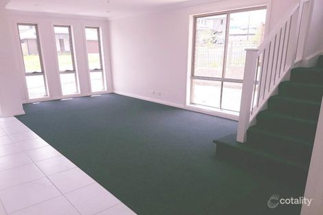 Property photo of 14 Feathertop Avenue Minto NSW 2566