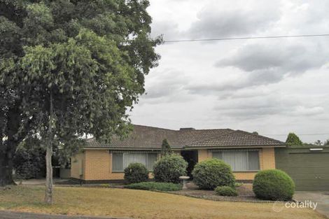 21 Harkness Ave, Modbury, SA 5092