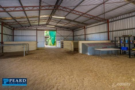 Property photo of 184 Caporn Street Wanneroo WA 6065