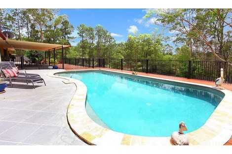 Property photo of 38 Country Crescent Nerang QLD 4211
