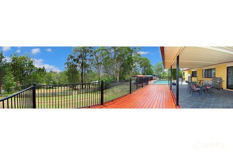 Property photo of 38 Country Crescent Nerang QLD 4211