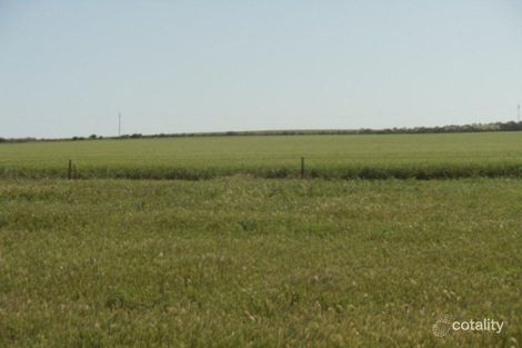 Property photo of 33 Brown Road James Well SA 5571