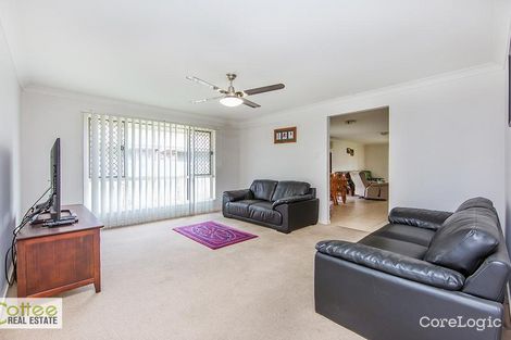 Property photo of 3 Callum Place Bracken Ridge QLD 4017